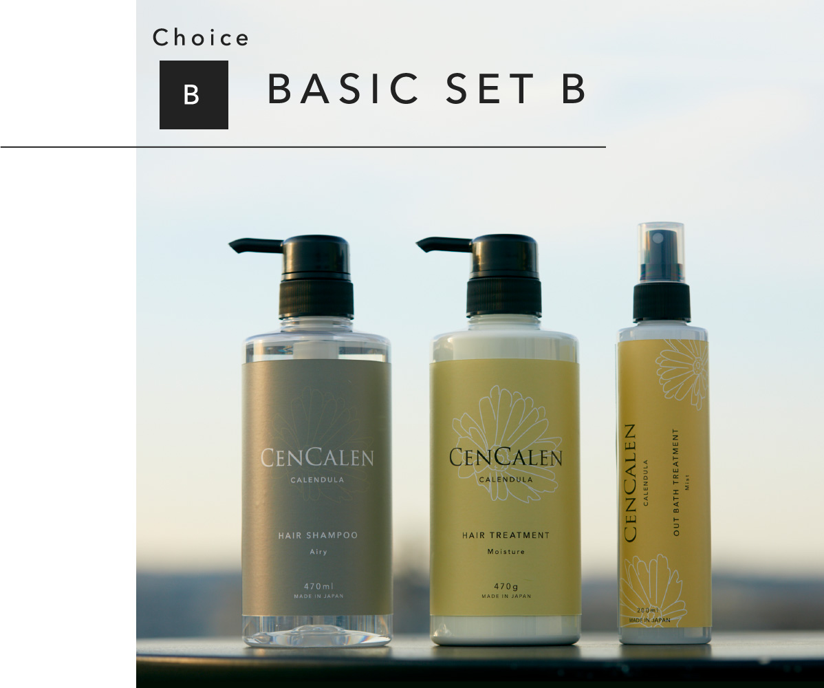 Choice B BASIC SET B