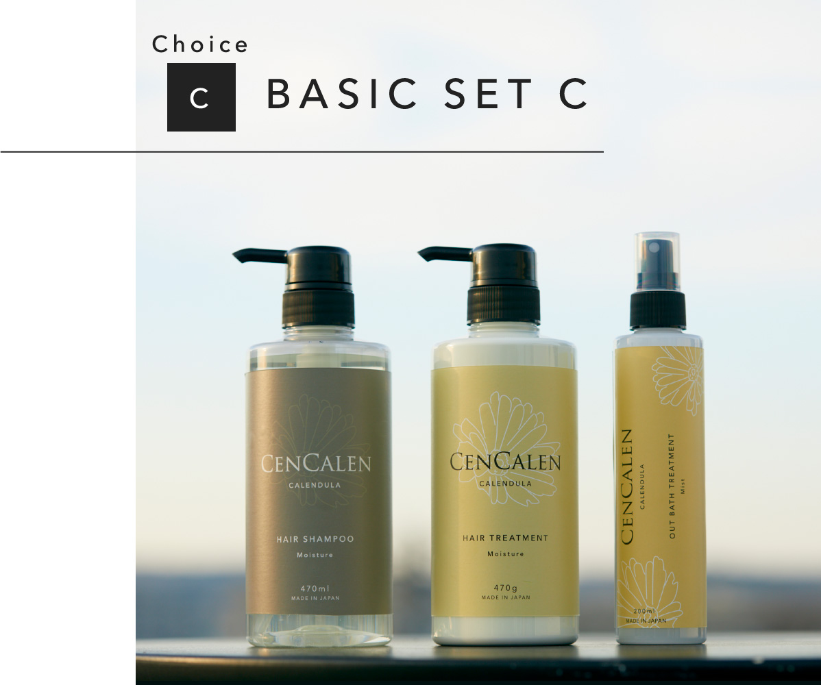 Choice C BASIC SET C