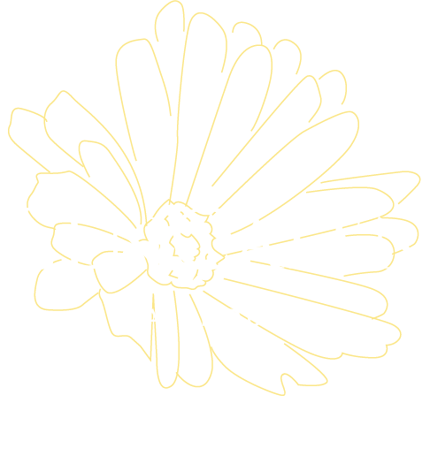 CenCalen CALENDULA 綺麗には理屈がある CenCalen センカレン| 綺麗には理屈がある | 美容師が2年かけて作ったヘアケアシリーズ